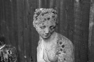 O Vínculo dos Inconsolados