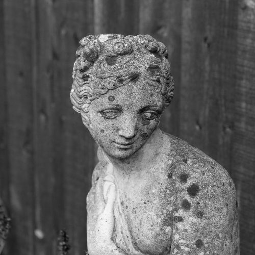 O Vínculo dos Inconsolados