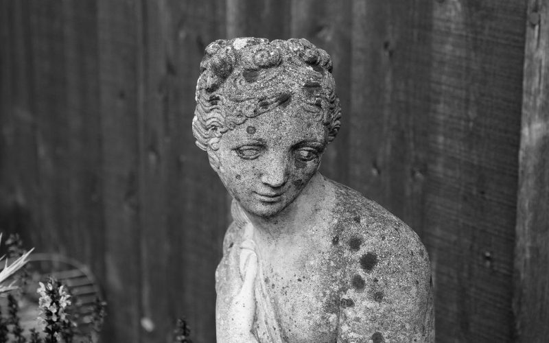 O Vínculo dos Inconsolados